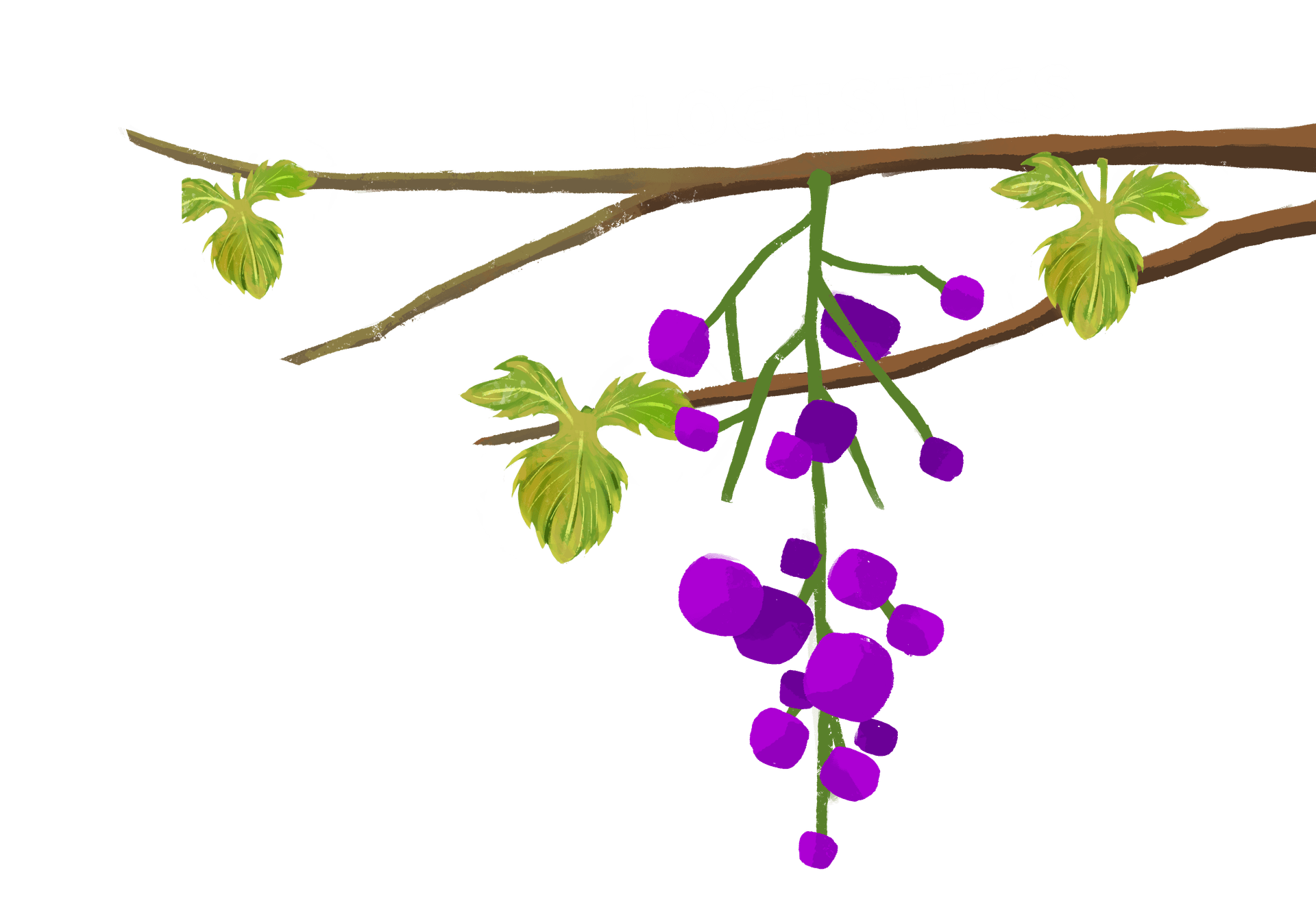 Logistics section vine